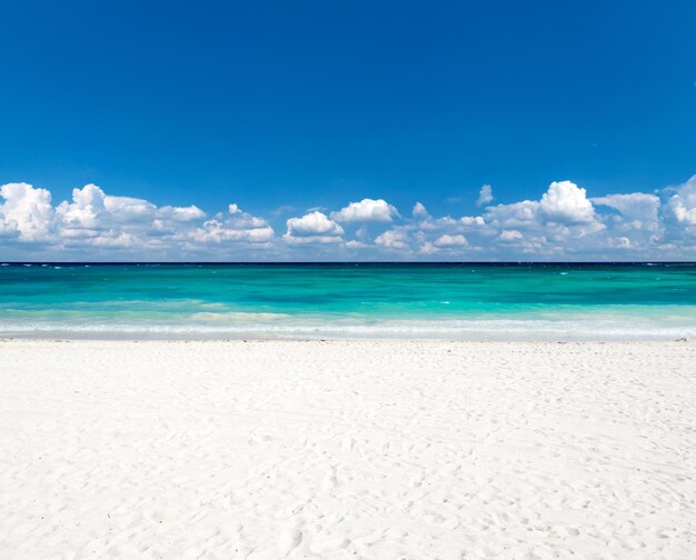 fondo de la naturaleza de la playa y el mar tropical