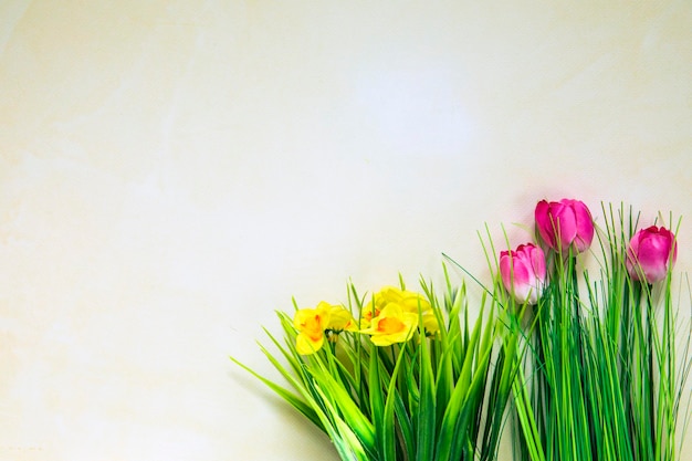 Fondo de naturaleza primaveral con hermosos tulipanes rosas en flor y margaritas amarillas backg de color pastel brillante