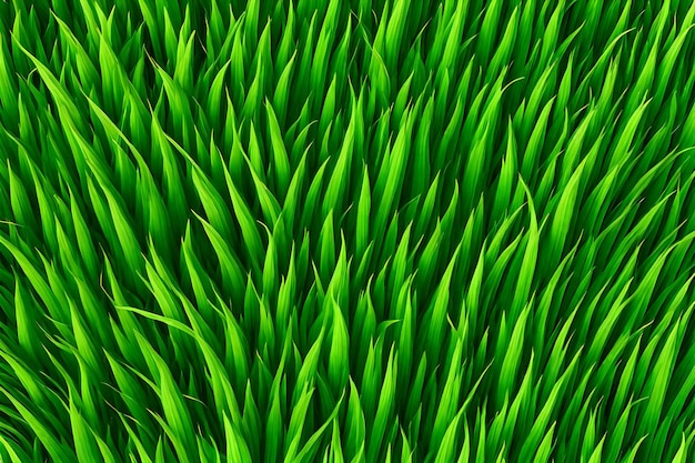 Foto fondo de naturaleza de textura de hierba verde