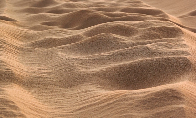 Fondo de naturaleza de textura de onda de arena suave