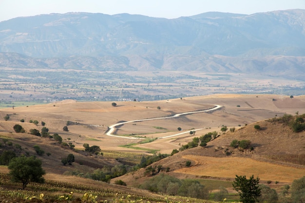 Fondo de naturaleza de tierras de girasol y trigo