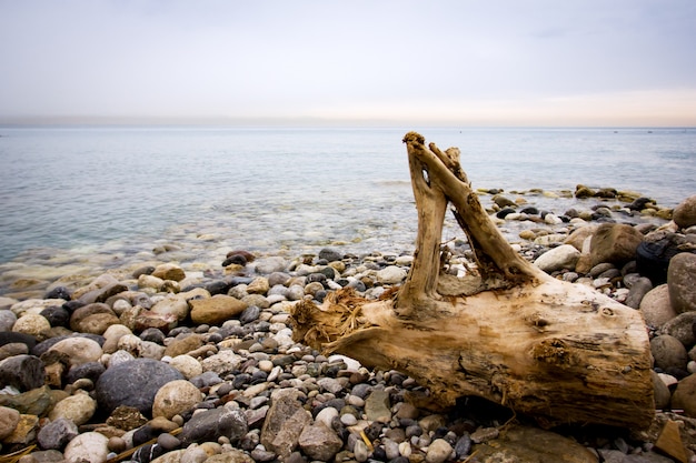 Fondo de naturaleza tranquila con guijarros