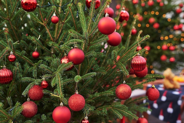 Fondo de Navidad abeto vivo con bolas de juguete rojas. Celebración de Año Nuevo. Vacaciones de invierno.