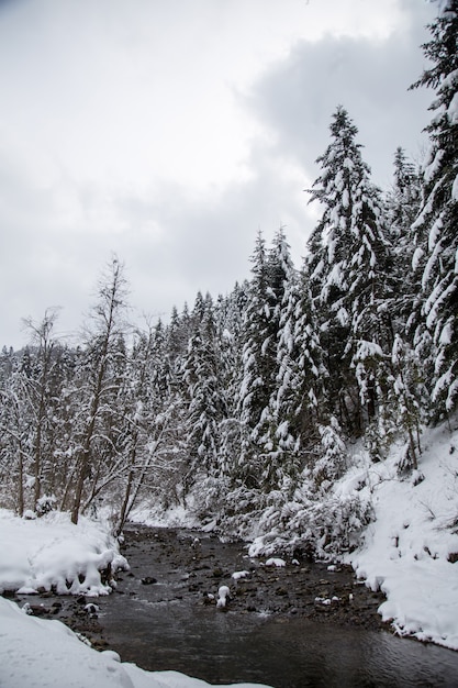 Fondo de Navidad con abetos nevados, hermoso paisaje de montaña de invierno