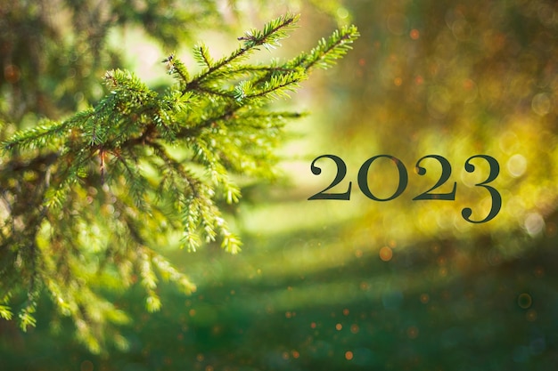 Foto fondo de navidad abstracto abeto verde con figuras del próximo año 2023