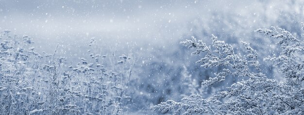 Fondo de Navidad y año nuevo con fuertes nevadas sobre un fondo de plantas cubiertas de nieve