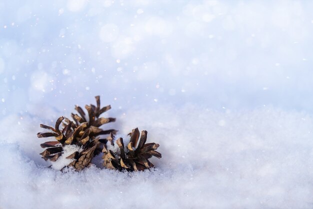 Fondo de Navidad juguetes de árbol de Navidad y conos en la nieve.