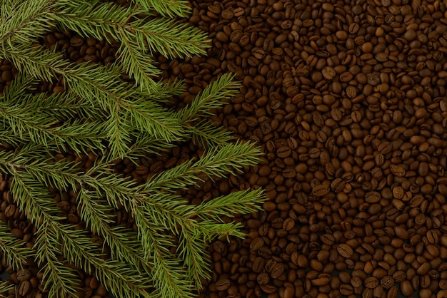 Fondo de navidad o año nuevo en textura granos de café naturales tostados y ramas de árboles de navidad