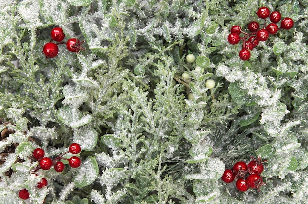 Fondo de navidad con ramas de pino y decoración de frutos rojos