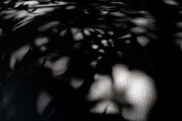 Fondo negro con fondo de pantalla de sombra