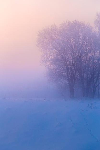 El fondo de la niebla de invierno de ensueño.