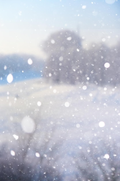 Foto fondo de nieve borrosa paisaje de invierno árboles y plantas cubiertas de nieve