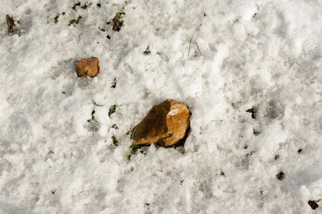 Foto fondo de nieve de invierno en color blanco