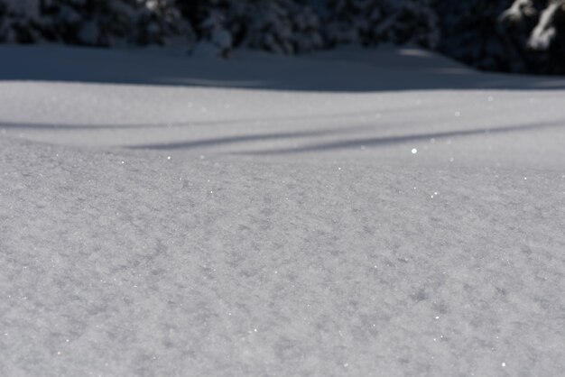 Foto fondo de nieve