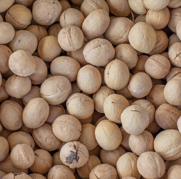 fondo de nueces con cáscara