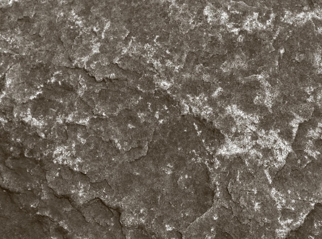 Fondo o textura de pizarra de piedra gris