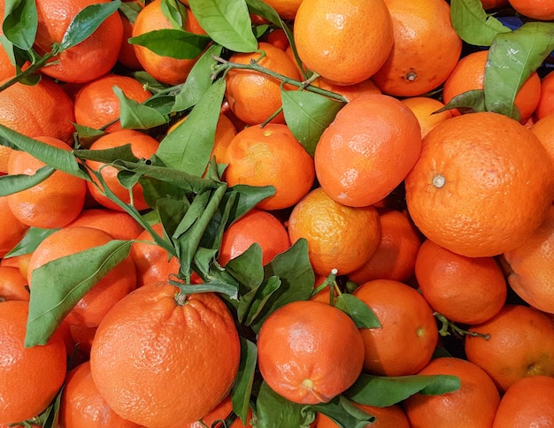 Foto fondo orgánico de frutas tropicales mandarinas maduras en una ramita con hojas verdes fondo de alimentos