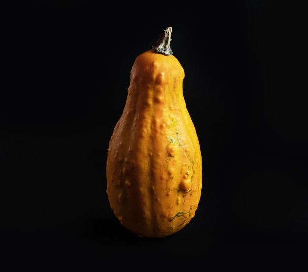 Fondo oscuro de calabaza