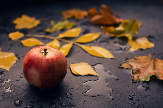 Fondo oscuro de otoño