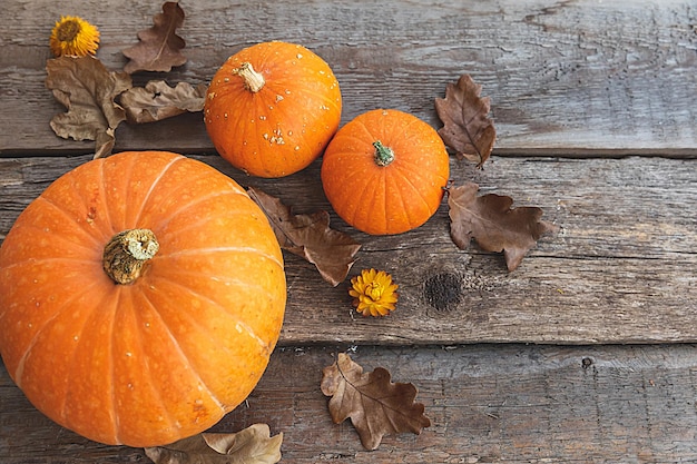 Fondo otoñal otoño natural caída ver calabazas sobre fondo de madera octubre inspirador o