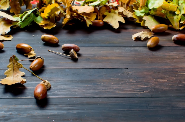 Fondo de otoño con bellotas y hojas de roble.