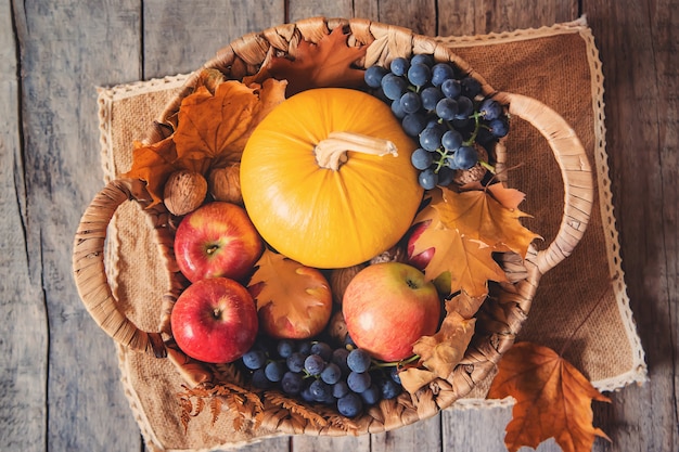 Fondo de otoño con calabaza. Día de Gracias. Enfoque selectivo.