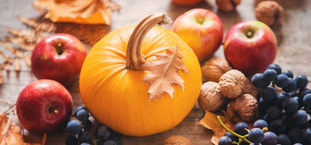 Fondo de otoño con calabaza