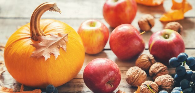 Fondo de otoño con calabaza