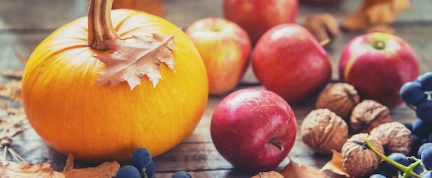 Fondo de otoño con calabaza