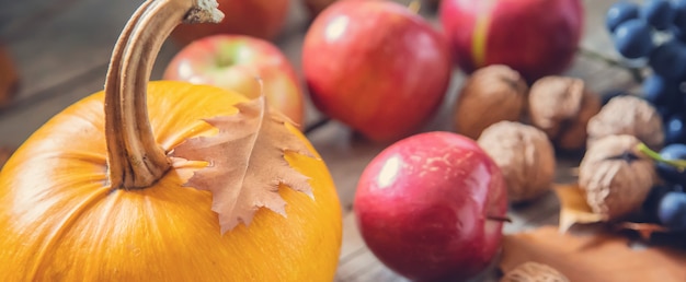 Fondo de otoño con calabaza