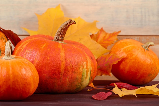 Fondo de otoño Calabazas maduras y hojas caídas amarillas Concepto de cosecha y acción de gracias Celebraciones de Halloween