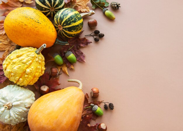 Fondo de otoño con calabazas multicolores sobre fondo marrón