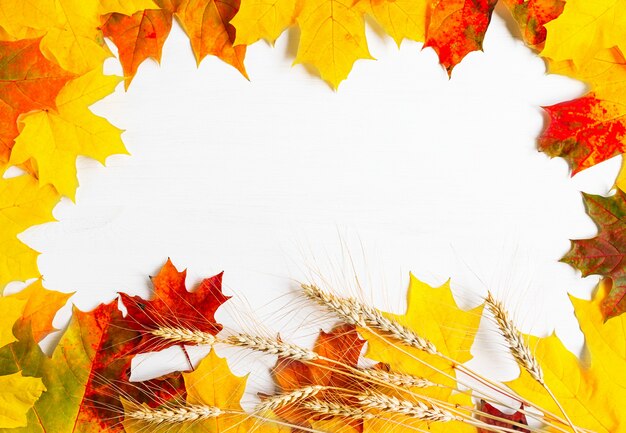 Fondo de otoño colorido brillante con hojas de arce amarillas y naranjas en forma de marco