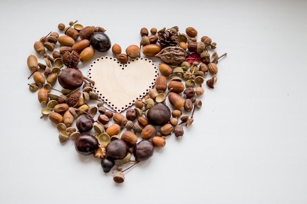 Fondo de otoño con corazón, castañas, nueces, cacahuetes, bellotas, espacio de copia