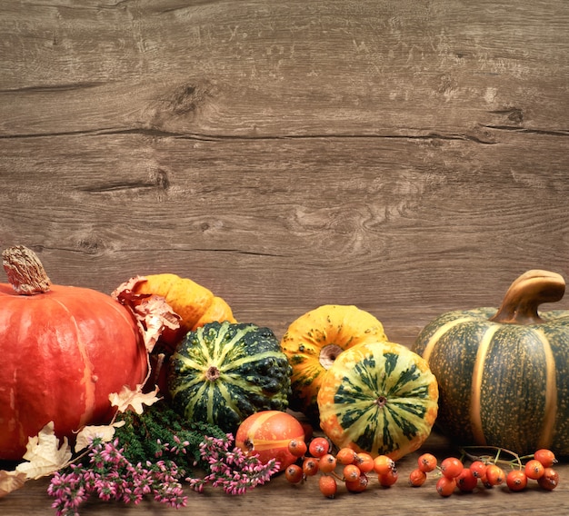 Fondo de otoño con decoraciones secas de otoño en madera, espacio