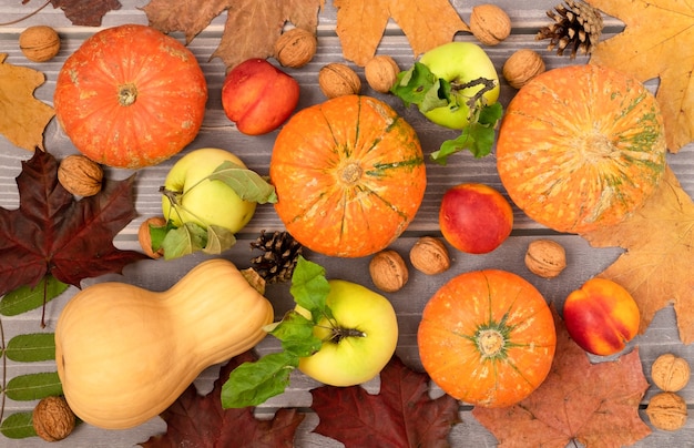 Fondo de otoño de hermosas calabazas maduras, frutas de temporada y hojas de otoño.