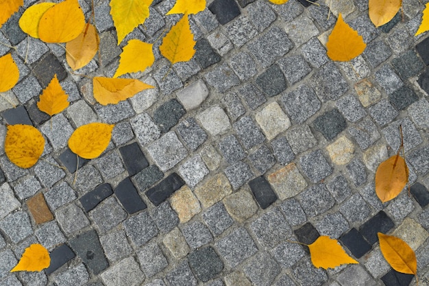 Fondo de otoño con hojas amarillas en el antiguo pavimento gris o vista superior de la carretera de adoquines de granito. Textura de otoño con baldosas de granito de ladrillo antiguo