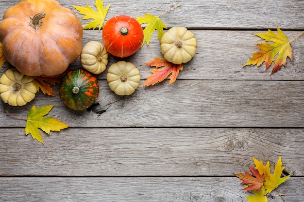 Fondo de otoño con hojas de arce amarillas y calabazas. Marco de cosecha de otoño en madera envejecida.