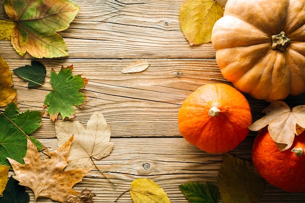 Fondo de otoño, hojas caídas y calabazas