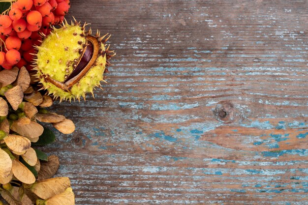 Fondo de otoño de hojas caídas y frutas con lugar vintage en mesa de madera vieja. Concepto de día de acción de gracias.