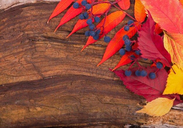 Fondo de otoño de hojas de otoño en la tabla de madera, vista superior