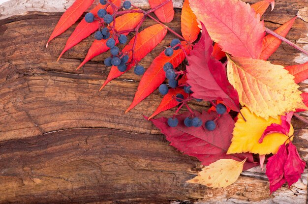 Fondo de otoño de hojas de otoño en la tabla de madera