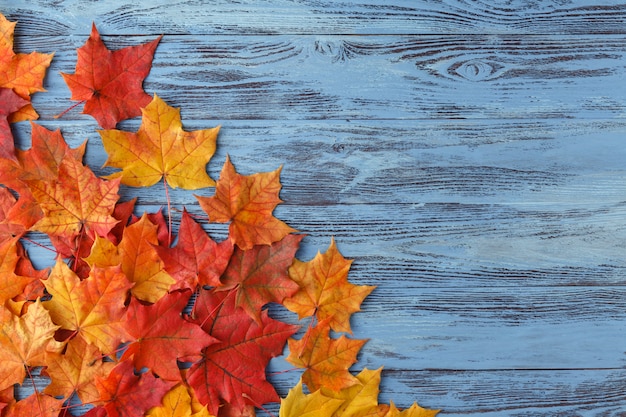 Fondo de otoño con hojas rojas de arce