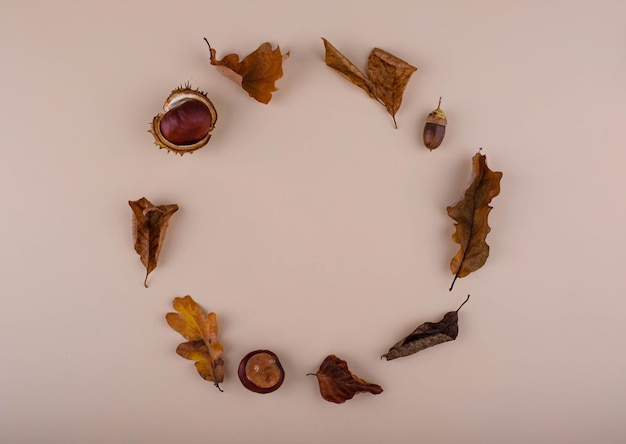 Fondo de otoño con hojas secas