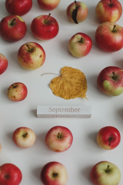 Fondo de otoño con manzanas rojas maduras frescas aisladas en la vista superior blanca Hola concepto de otoño