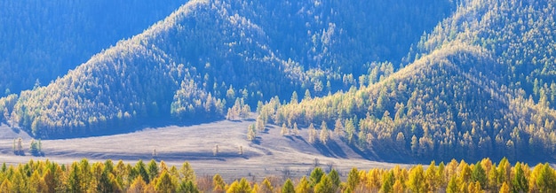 Fondo de otoño natural boscoso