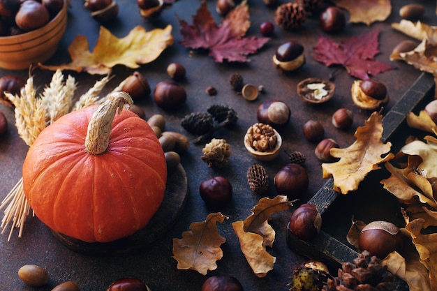 Fondo de otoño con nueces de bellotas de calabaza decorativas y hojas de otoño en la mesa de piedra oscura composición de bodegones de cosecha fondo de acción de gracias