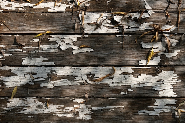 Fondo de otoño con tablas de madera con pintura blanca descascarada y hojas caídas
