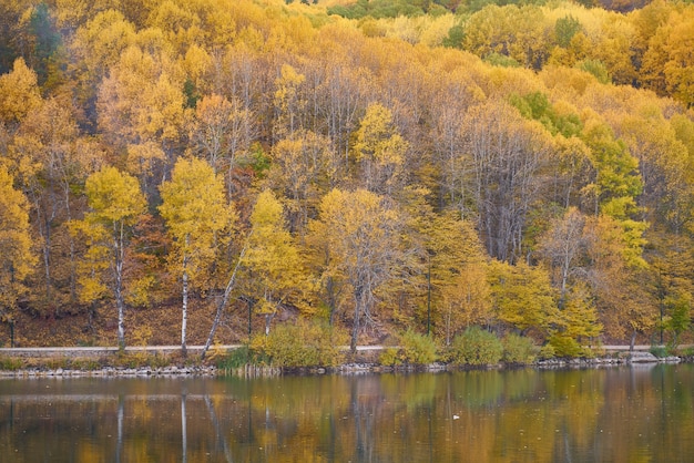 Fondo de otoño