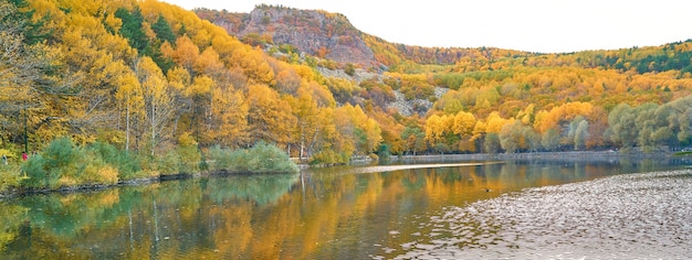 Fondo de otoño